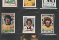 Zico 001